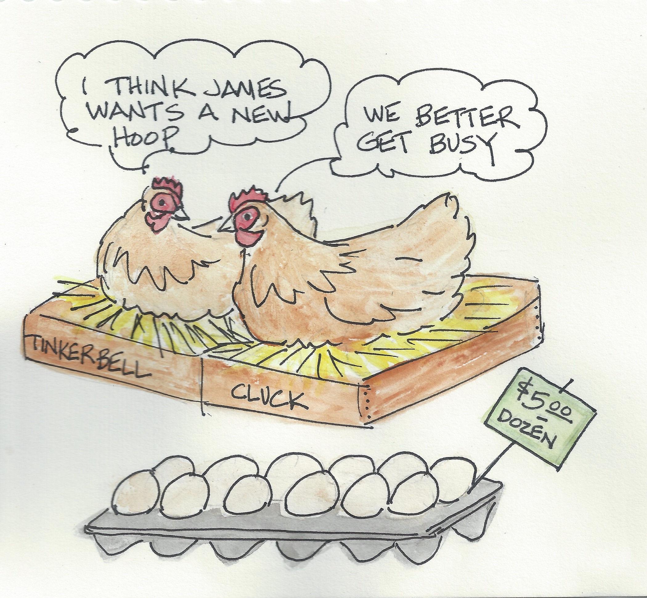 Buying hens